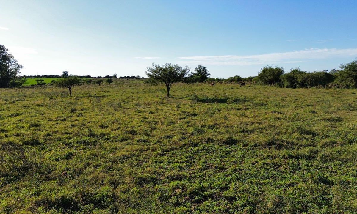 Foto de Vendo Lote de 1 Has en Villa Horacio, Colonia Caseros, Entre Ríos., imagen 5