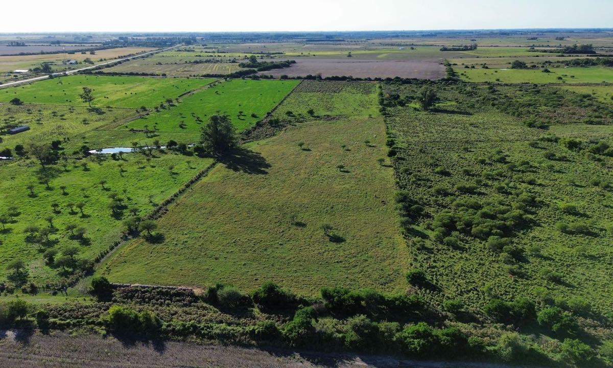 Foto de Vendo Lote de 1 Has en Villa Horacio, Colonia Caseros, Entre Ríos., imagen 4