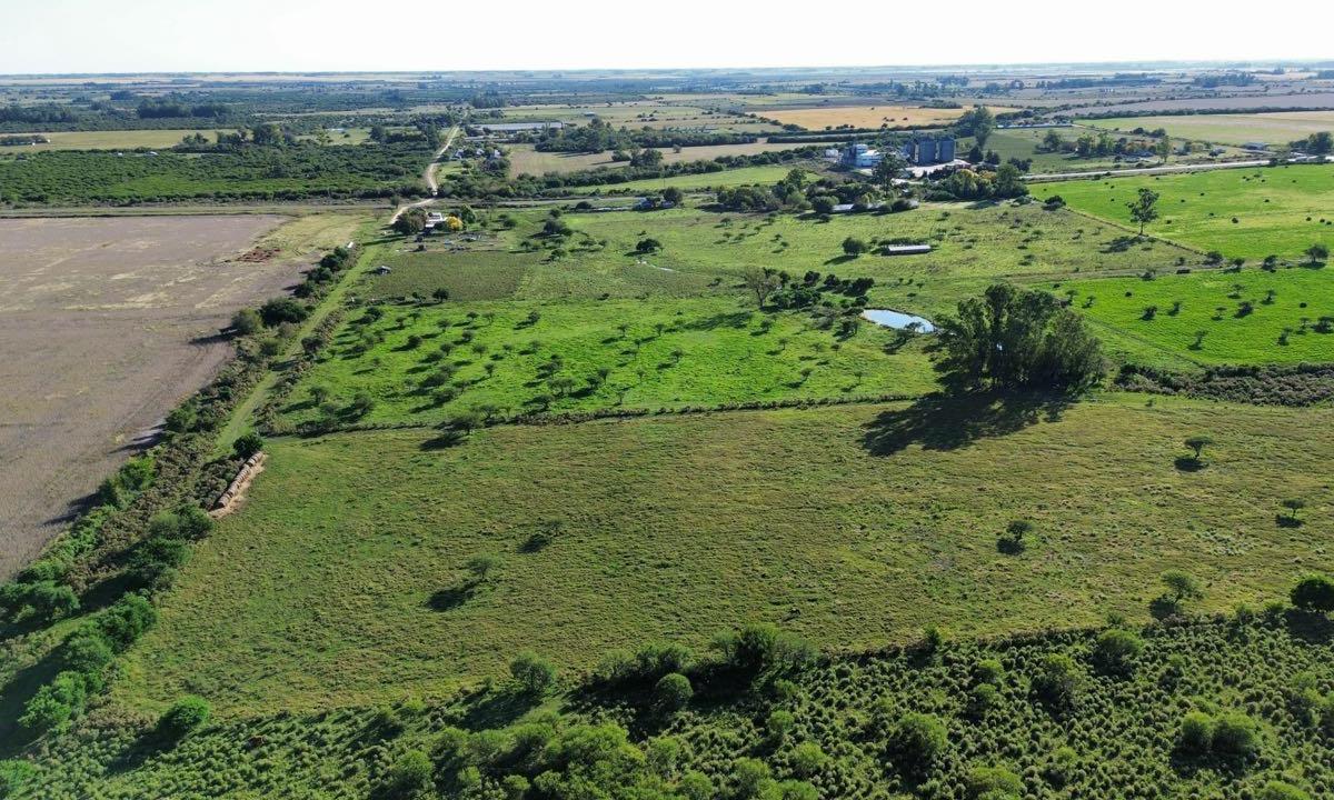 Foto de Vendo Lote de 1 Has en Villa Horacio, Colonia Caseros, Entre Ríos., imagen 2