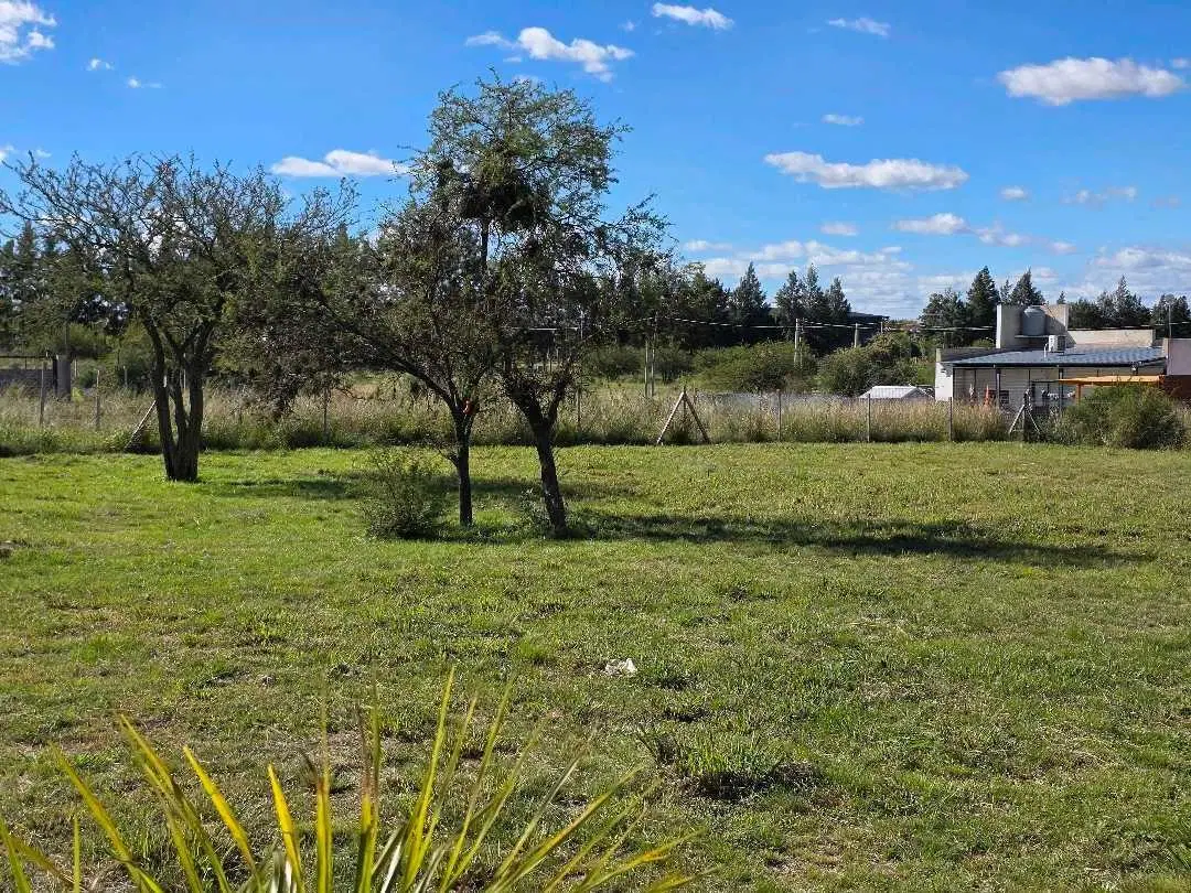 Vendo Dos Terrenos de 503 m2 C/U en Concepción del Uruguay Entre Ríos 4