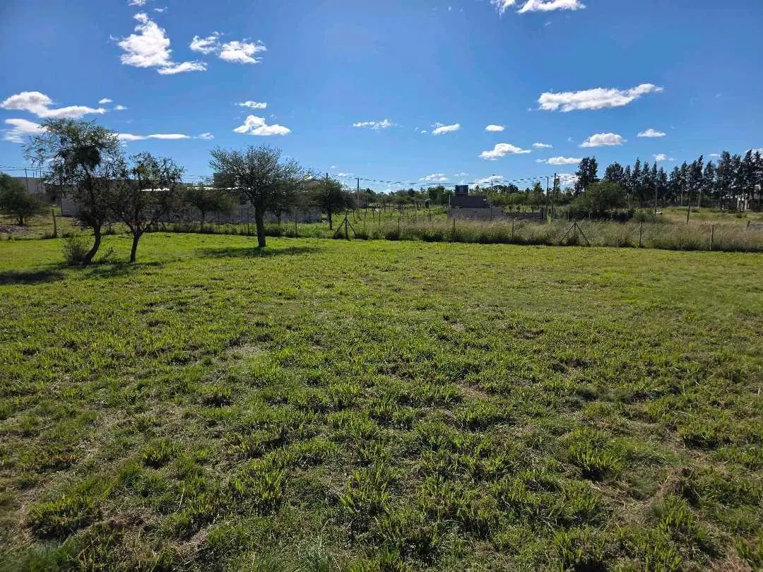 Vendo Dos Terrenos de 503 m2 C/U en Concepción del Uruguay Entre Ríos 5