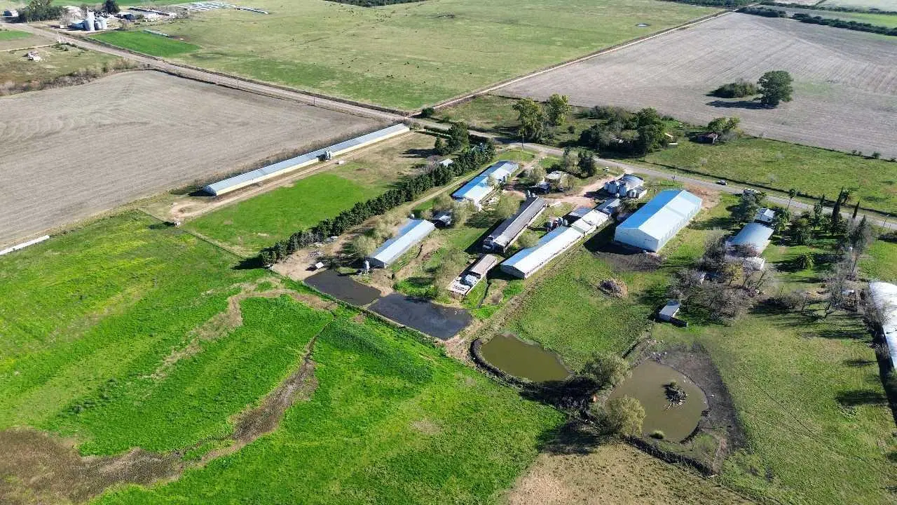 Vendo Galpón sobre Ruta 23, San Justo, Entre Ríos 4