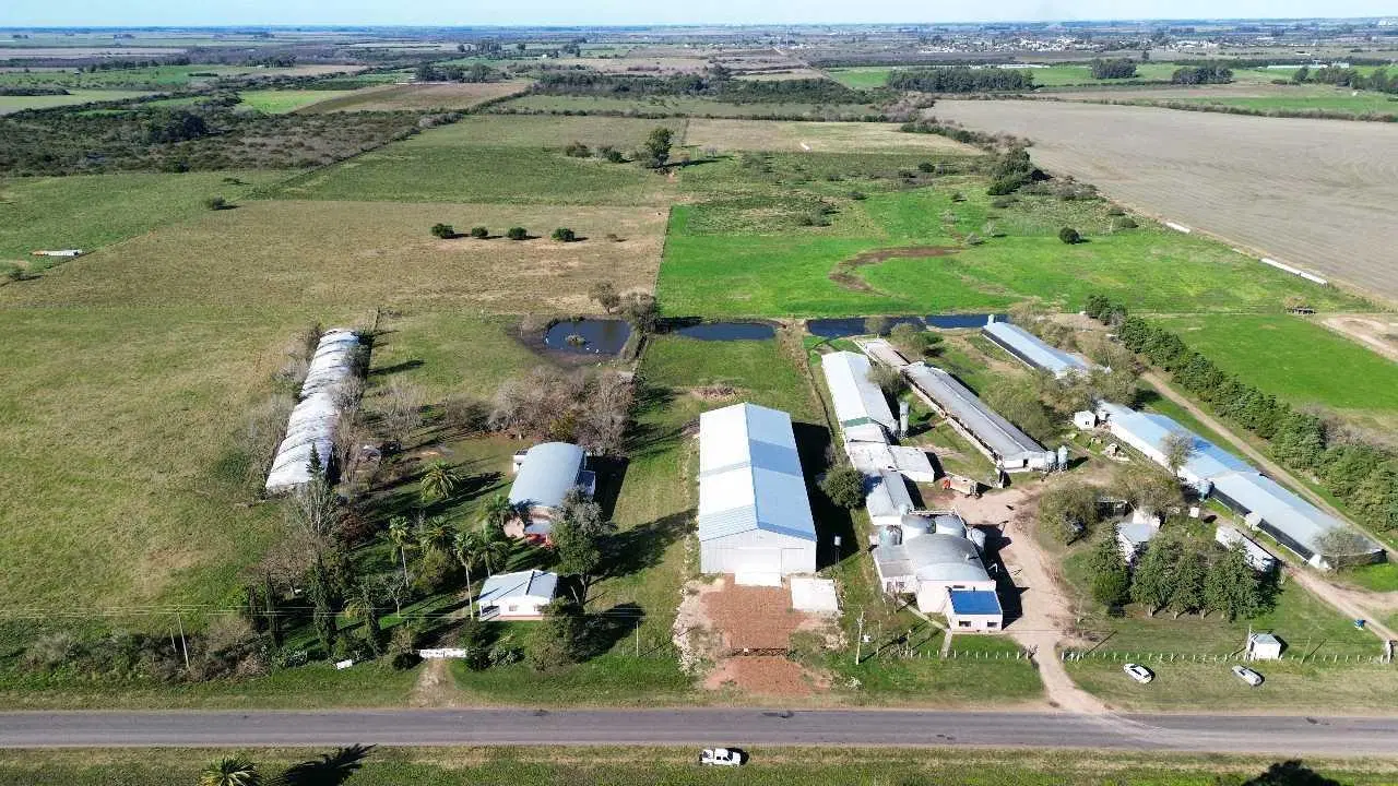 Vendo Galpón sobre Ruta 23, San Justo, Entre Ríos 2