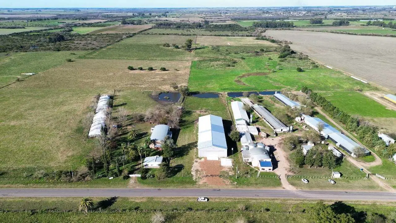 Vendo Galpón sobre Ruta 23, San Justo, Entre Ríos 3