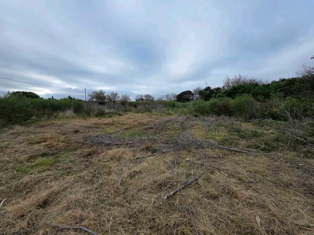 Foto de Vendo Terreno de 250 m2 en Caseros, Entre Ríos., imagen 4