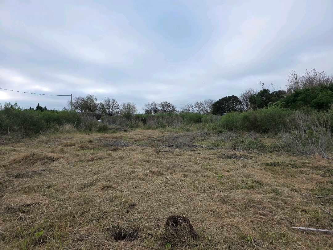 Foto de Vendo Terreno de 250 m2 en Caseros, Entre Ríos., imagen 2