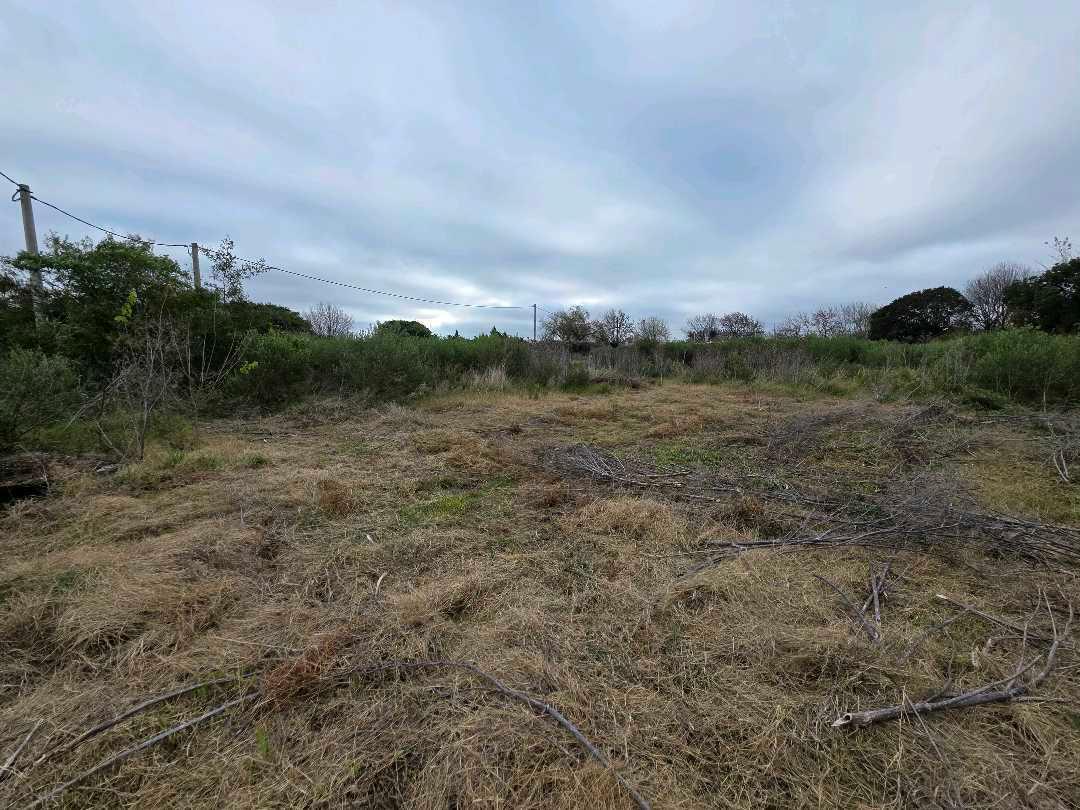 Foto de Vendo Terreno de 250 m2 en Caseros, Entre Ríos., imagen 5