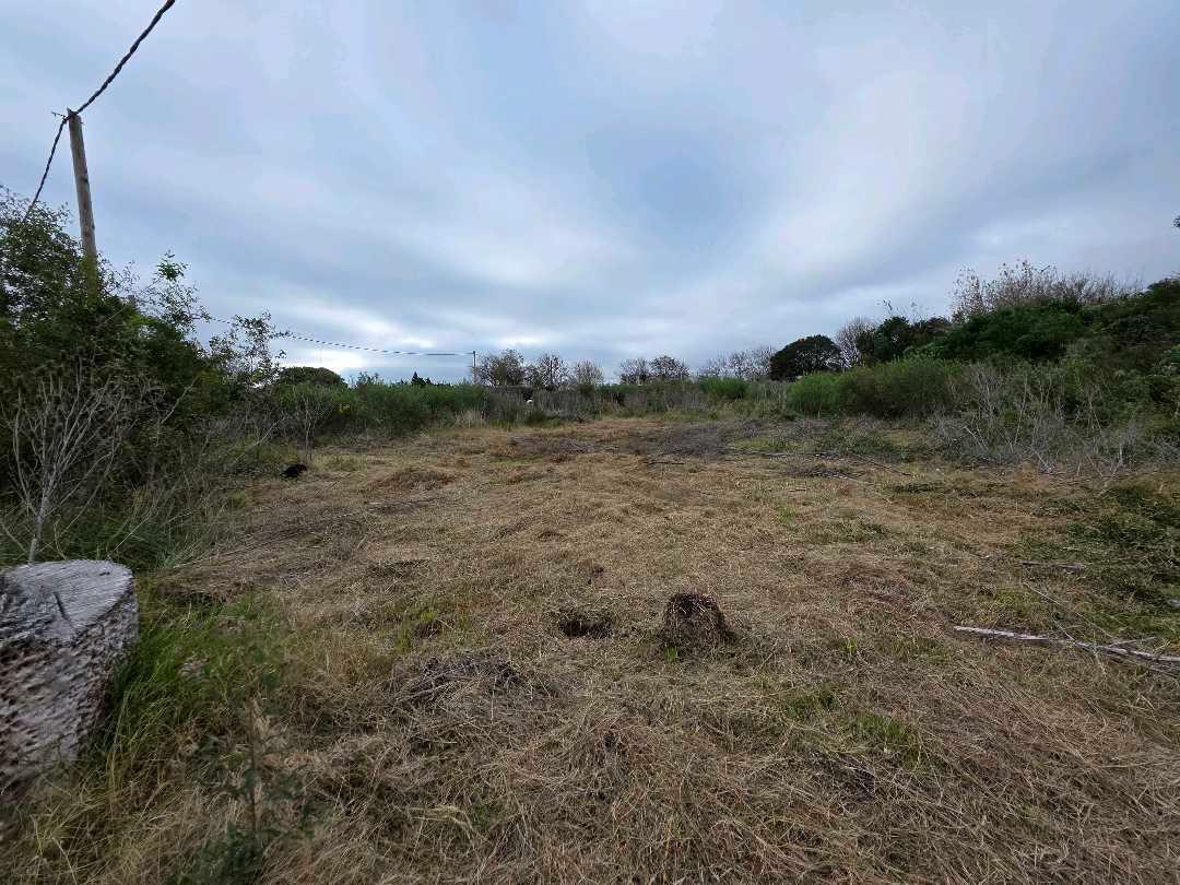 Foto de Vendo Terreno de 250 m2 en Caseros, Entre Ríos., imagen 3