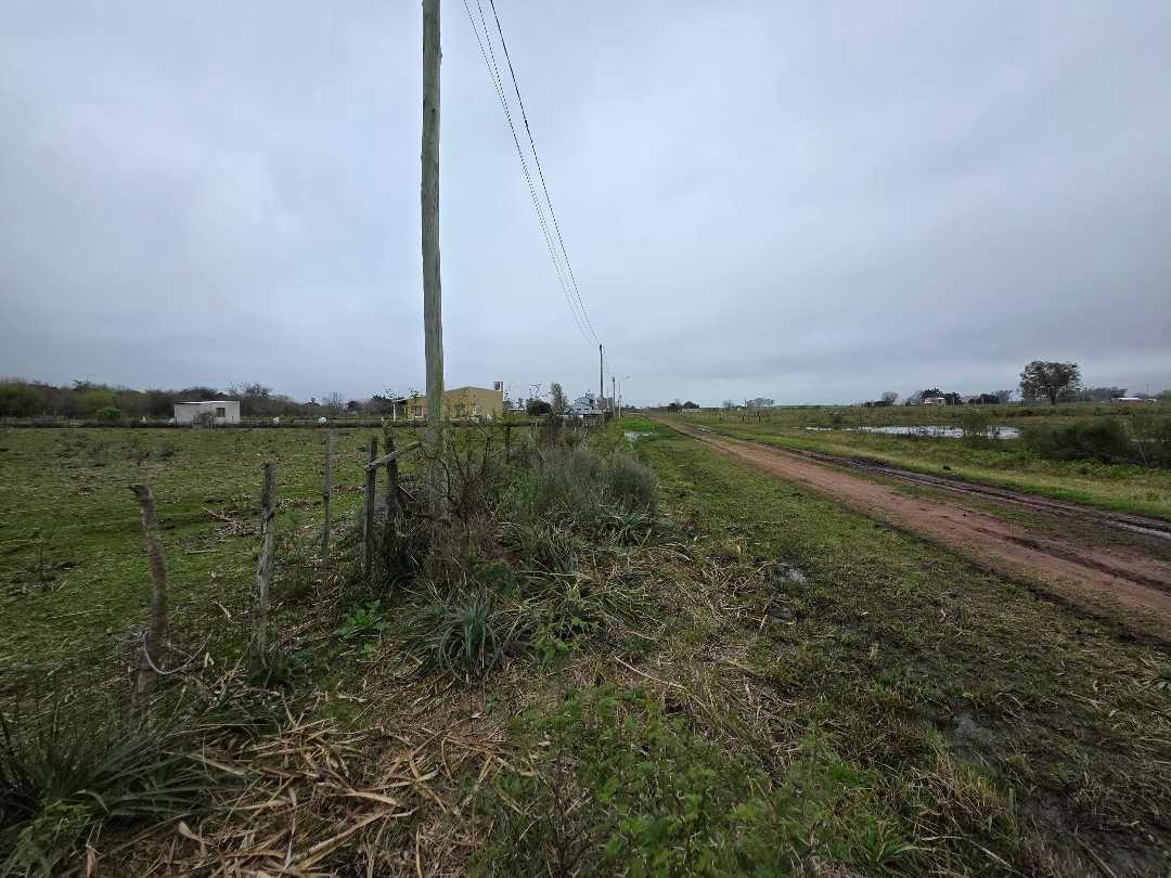 Foto de Vendo Terreno de 5.000 m2. en Herrera, Entre Ríos., imagen 5