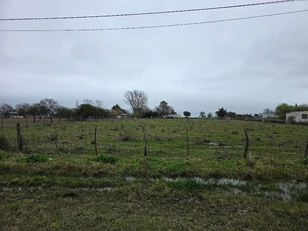 Foto de Vendo Terreno de 5.000 m2. en Herrera, Entre Ríos., imagen 4