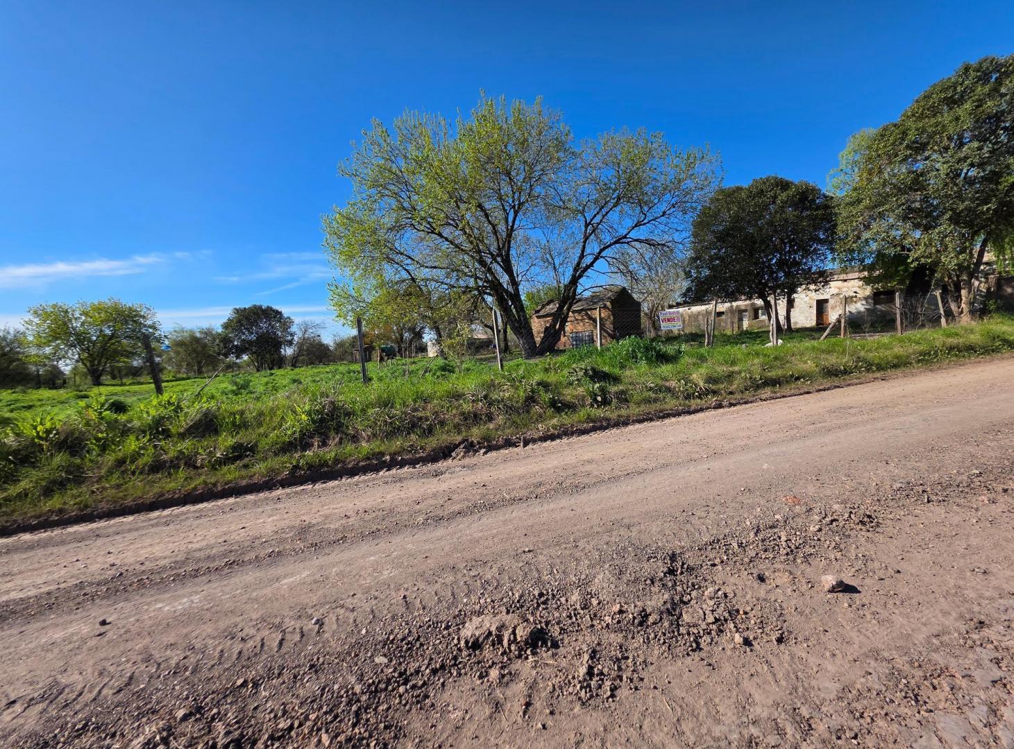 Foto de Vendo 5 Lotes en Herrera, Entre Ríos., imagen 3