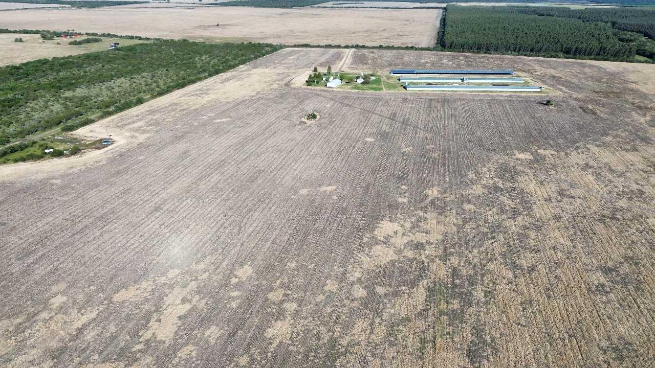 Foto de Vendo Campo de 90 Has en Colonia Elía, Entre Ríos, imagen 2
