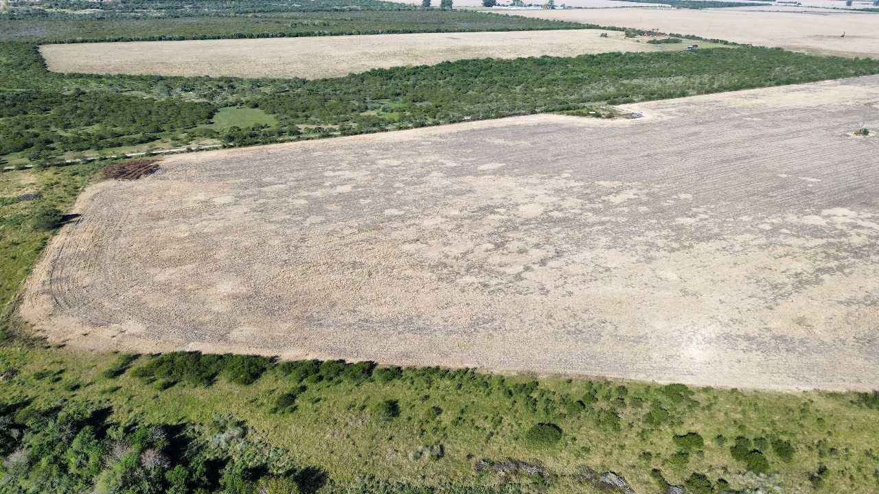 Foto de Vendo Campo de 90 Has en Colonia Elía, Entre Ríos, imagen 1