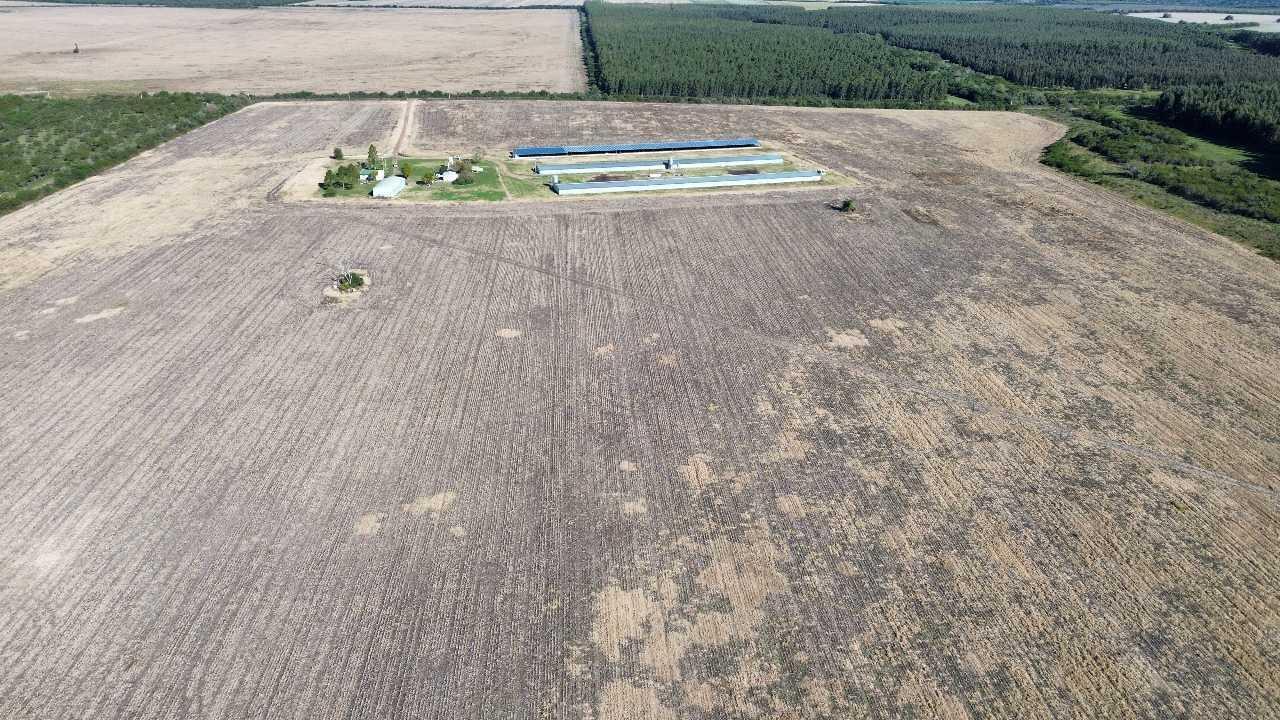 Foto de Vendo Campo de 90 Has en Colonia Elía, Entre Ríos, imagen 3
