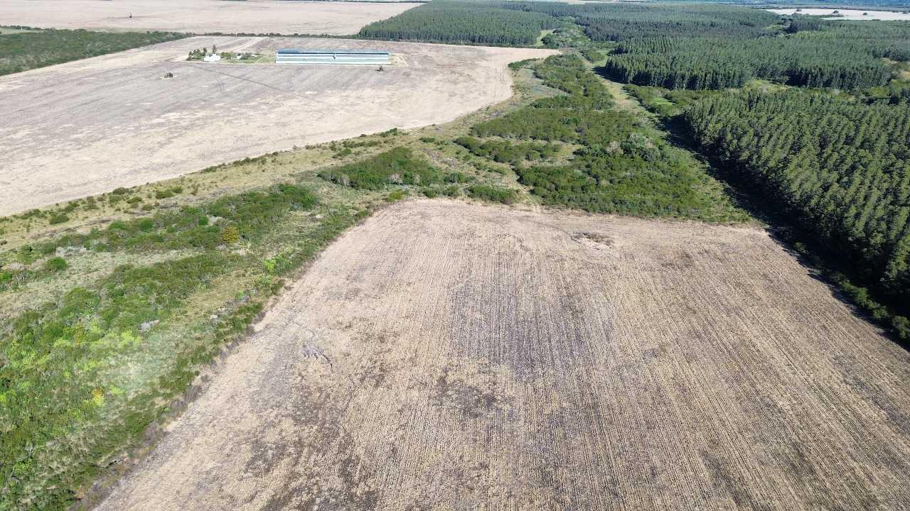 Foto de Vendo Campo de 90 Has en Colonia Elía, Entre Ríos, imagen 4