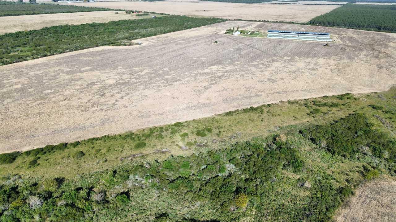 Foto de Vendo Campo de 90 Has en Colonia Elía, Entre Ríos, imagen 5