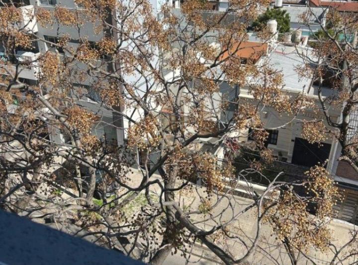 Departamento en alquiler en La Plata 4
