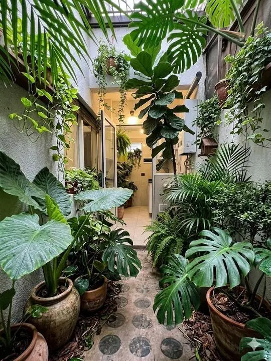 Venta departamento 2 ambientes, con patio, reciclado a nuevo, sobre Av. Rivadavia al 8200 4