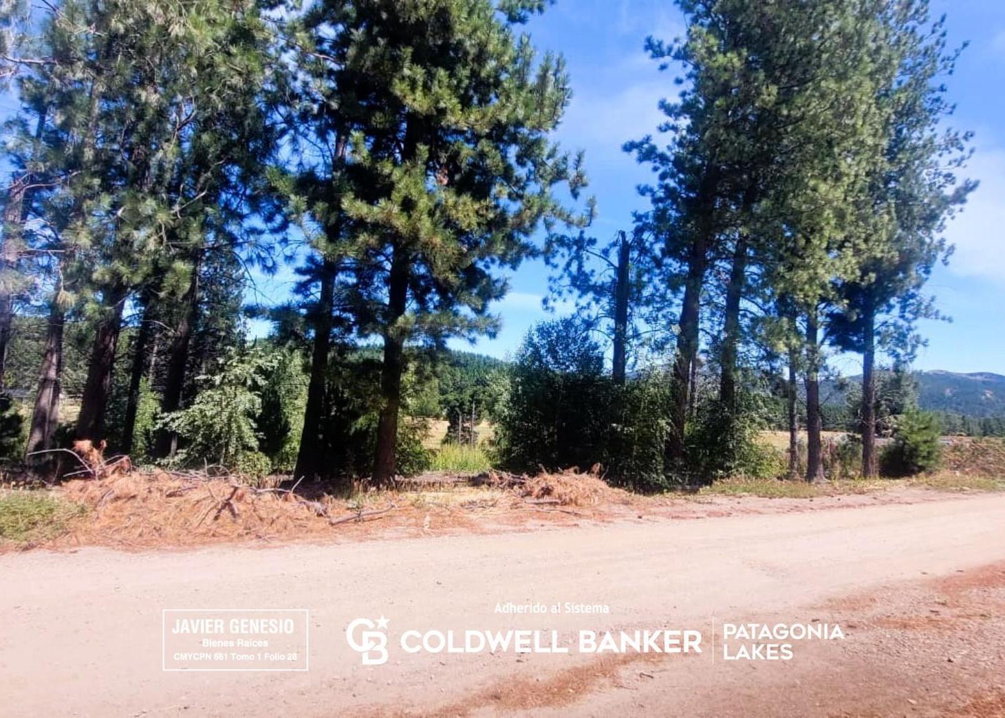 Foto de VENTA Terreno de 2500m2 - Chapelco Golf and Resort zona D vista al Polo, imagen 2