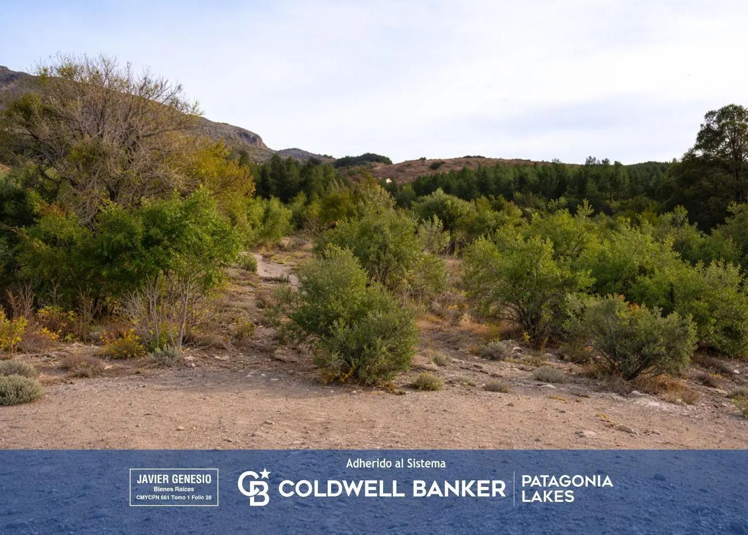 VENTA – Lote 11 en Barrio Exclusivo con vista – Miradores Potrero Alto – San Martín de los Andes 2