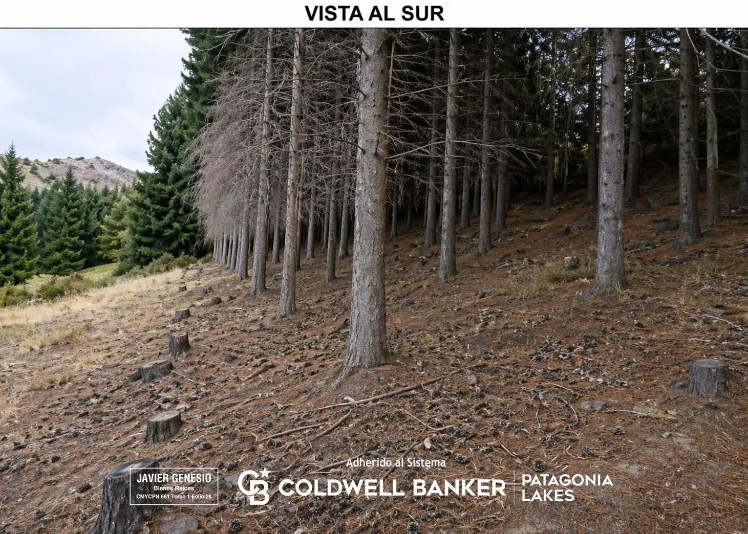 VENTA – Lote 12 en Barrio Exclusivo con vista – Miradores Potrero Alto – San Martín de los Andes 4
