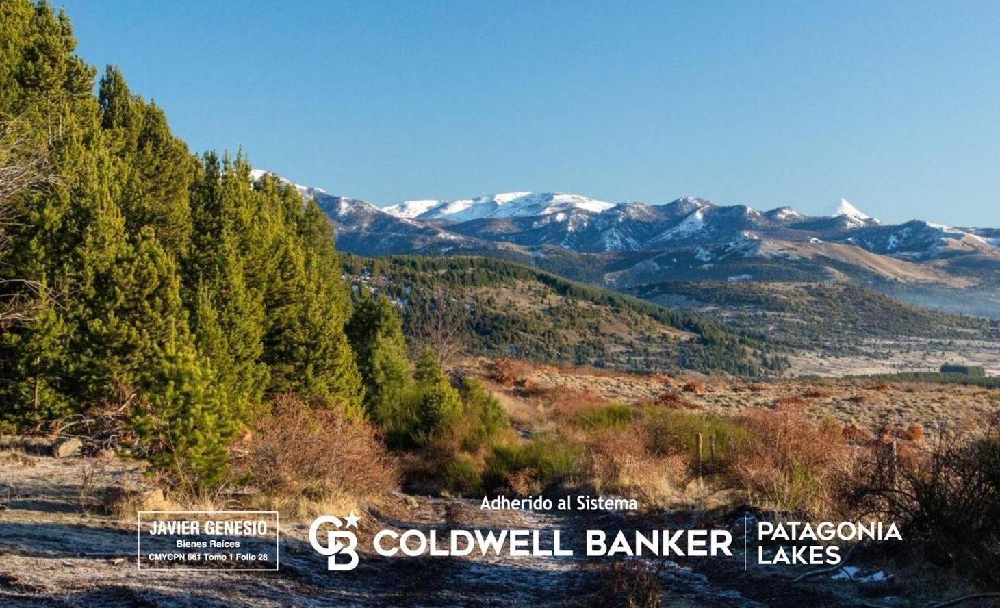 Foto de VENTA El Remanso Lote/Terreno RC44 - 814 m2 - San Martín de los Andes, imagen 5