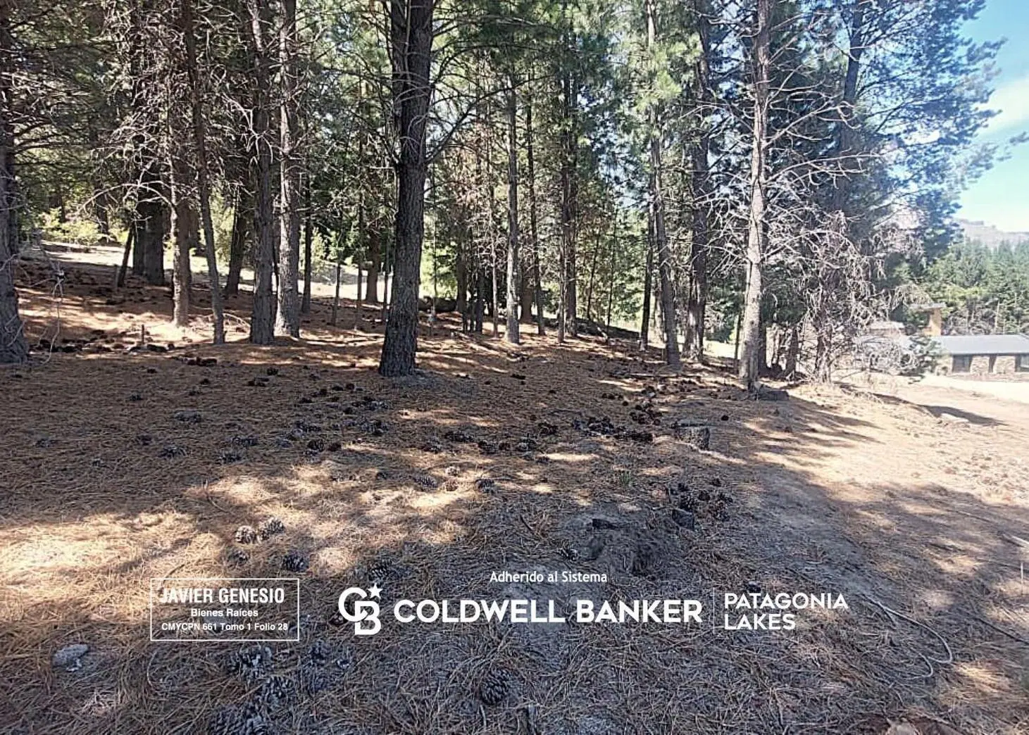 VENTA Terreno 2360m2 - Chapelco Golf and Resort zona D - San Martín de los Andes 5