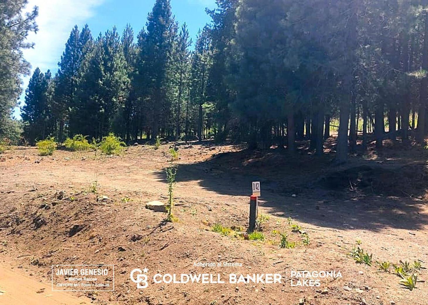 VENTA Terreno 2360m2 - Chapelco Golf and Resort zona D - San Martín de los Andes