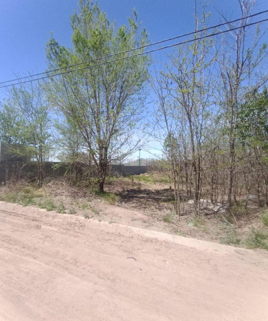 Foto de Terreno - Lote de 500 m² en venta en Río Ceballos, imagen 2