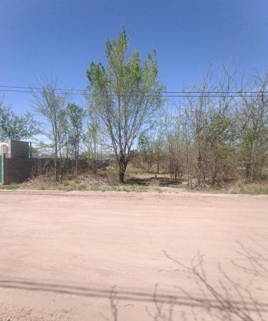 Foto de Terreno - Lote de 500 m² en venta en Río Ceballos, imagen 3