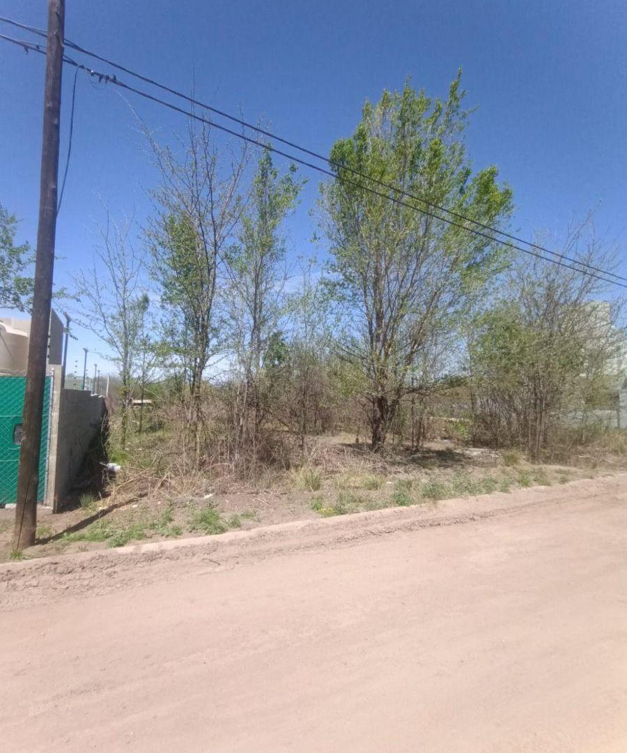 Foto de Terreno - Lote de 500 m² en venta en Río Ceballos, imagen 4