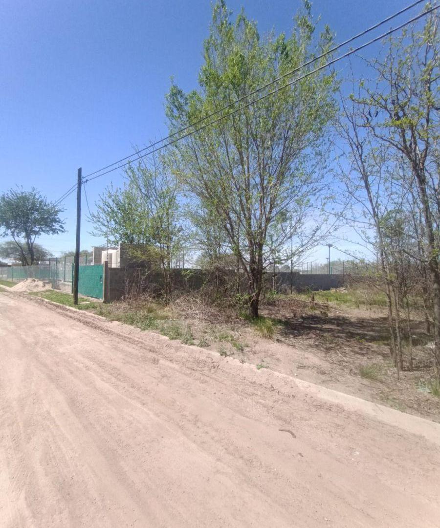 Foto de Terreno - Lote de 500 m² en venta en Río Ceballos, imagen 5