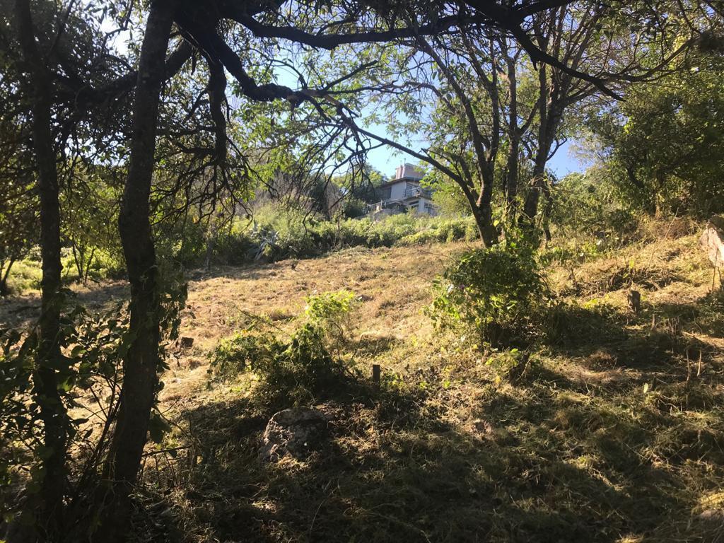Foto de Terreno en La Falda, imagen 3