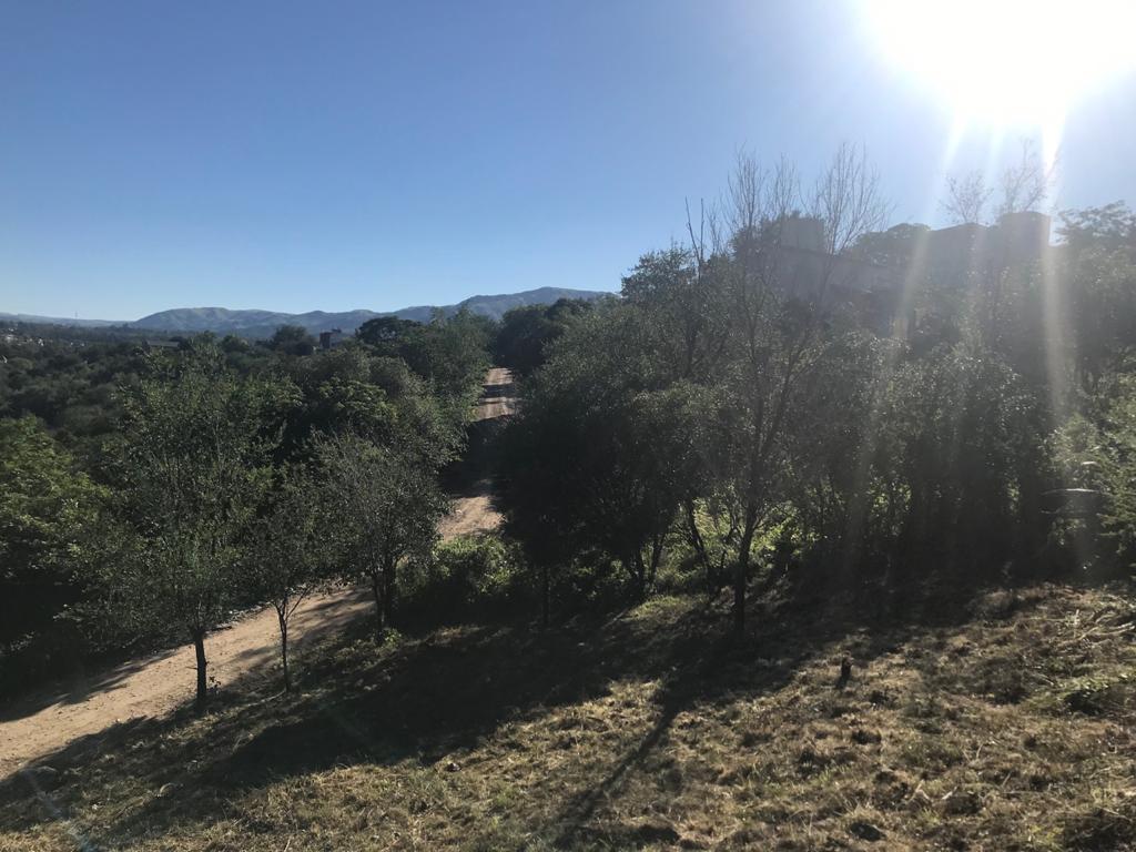 Foto de Terreno en La Falda, imagen 4