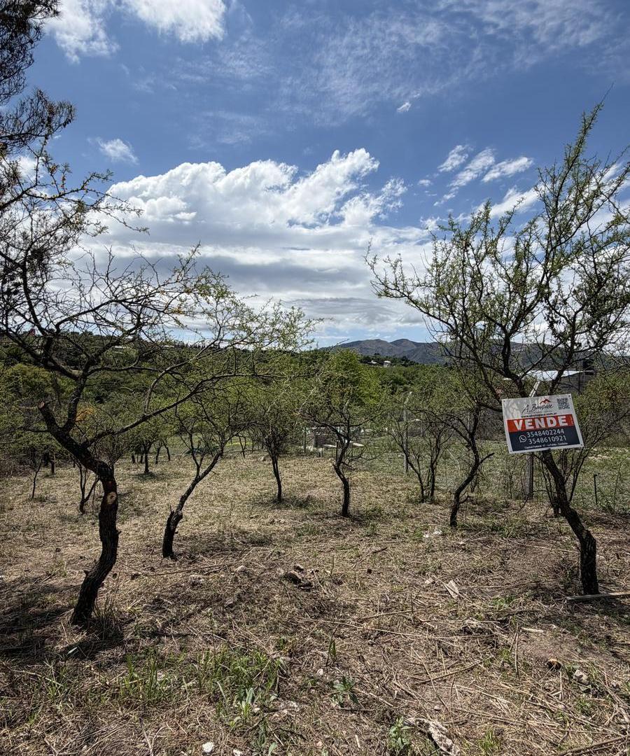 Foto de Terreno en Valle Hermoso, imagen 5