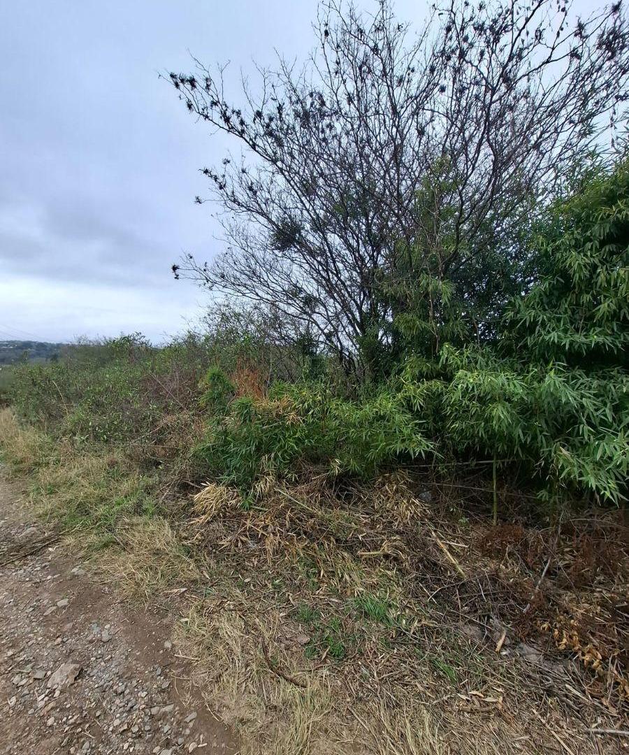 Foto de Terreno en venta de 1.400 m2 en Mendiolaza, barrio El Perchel., imagen 5