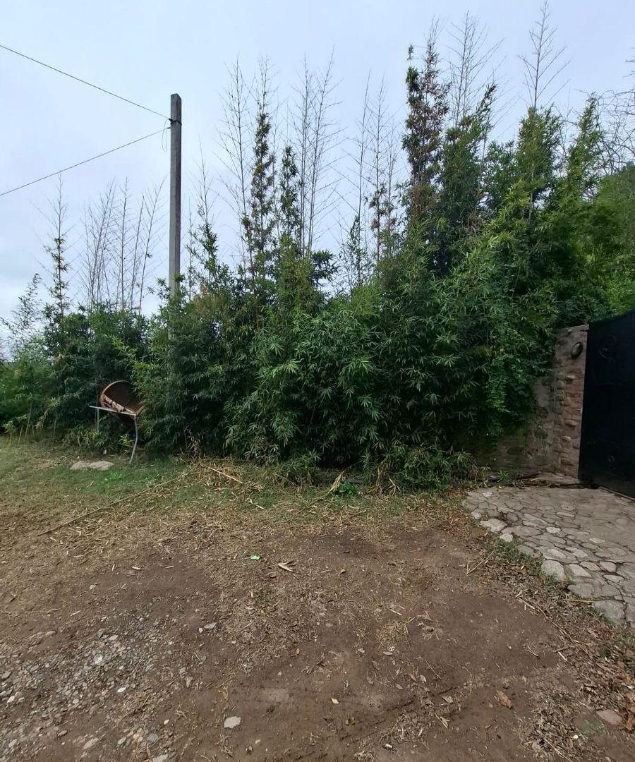 Foto de Terreno en venta de 740 m2 en Mendiolaza, barrio El Perchel., imagen 5