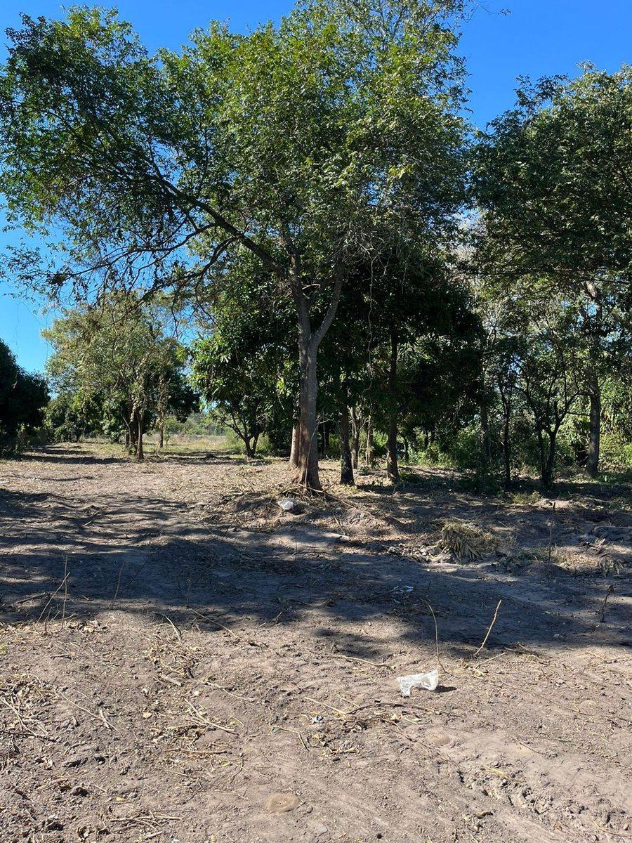 Lote en Venta Sobre El Rio Paraná en Lavalle 4
