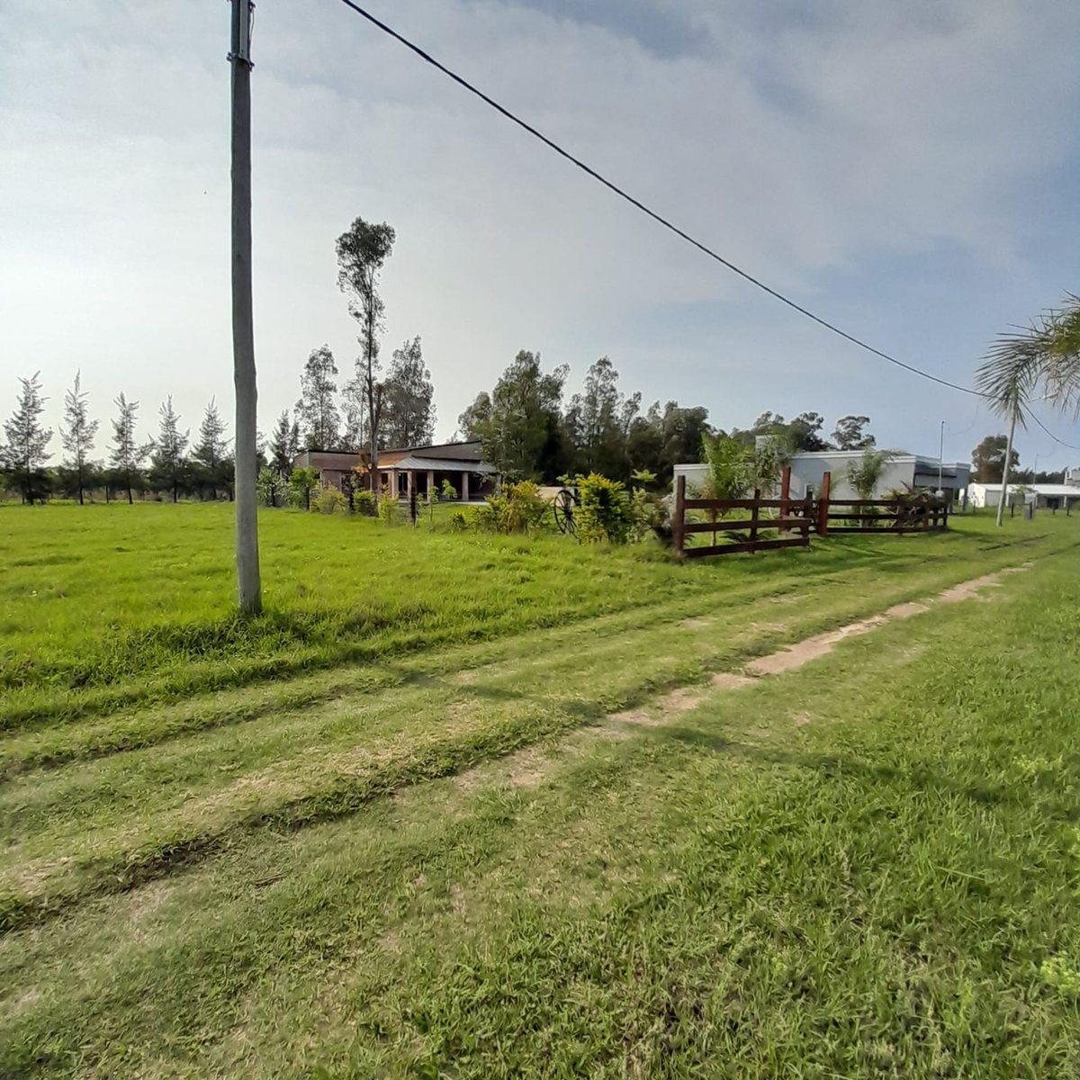 Lote en Venta de 1.000,41 m² en Lomas de Carolina 1