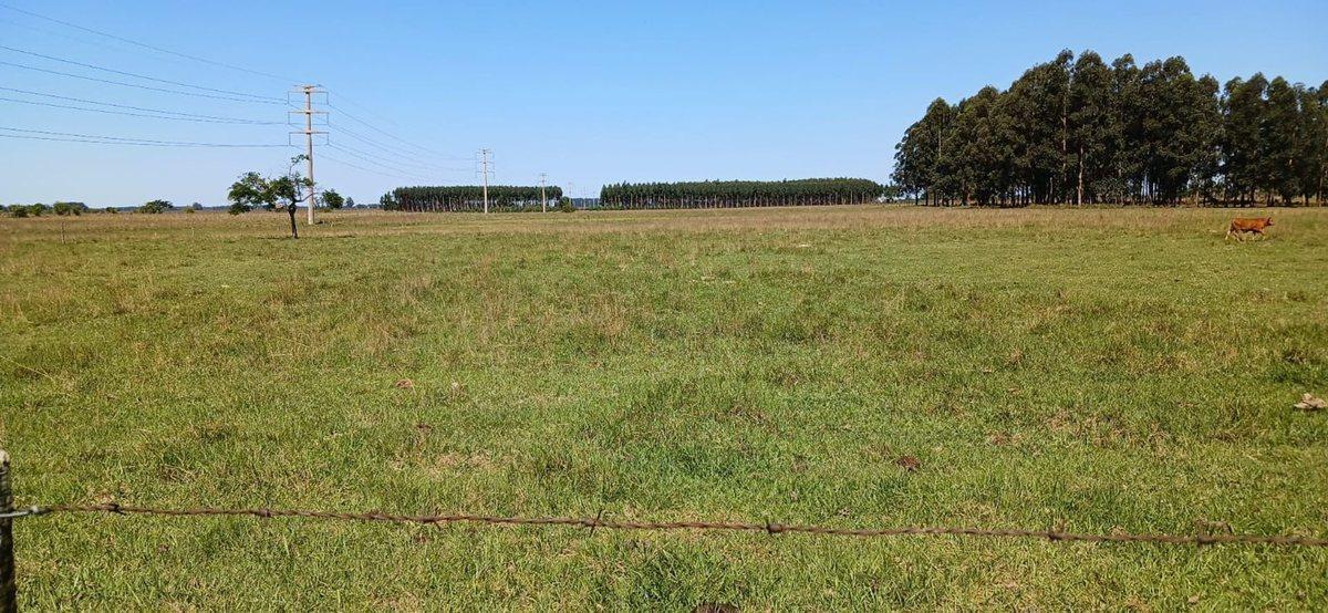 Lote en Venta en Colonia Porvenir 3