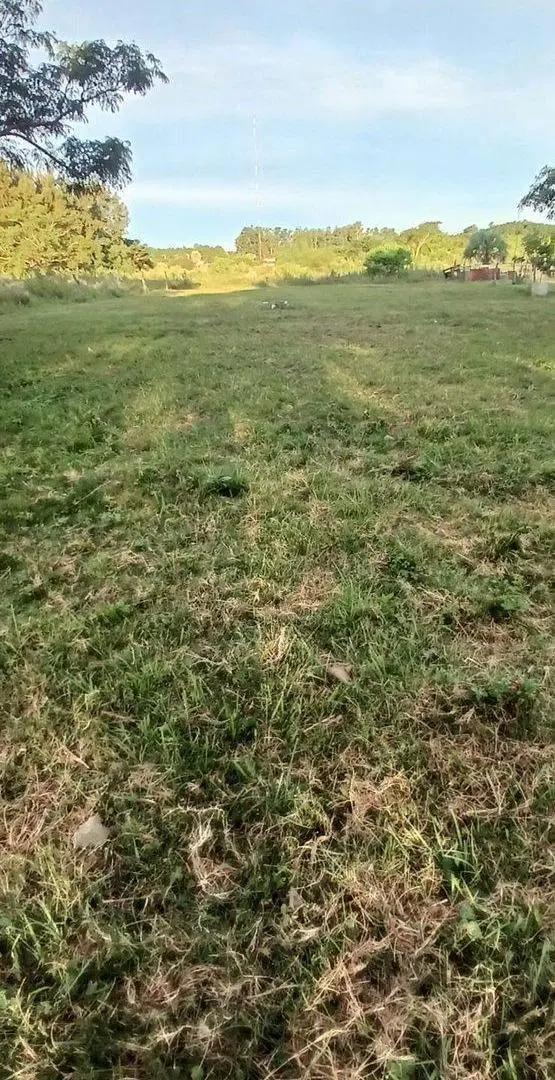 TERRENO EN VENTA DE 1000 M2 EN CAROLINA CTES 5