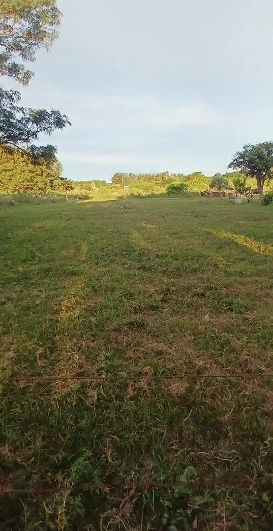 TERRENO EN VENTA DE 1000 M2 EN CAROLINA CTES 3