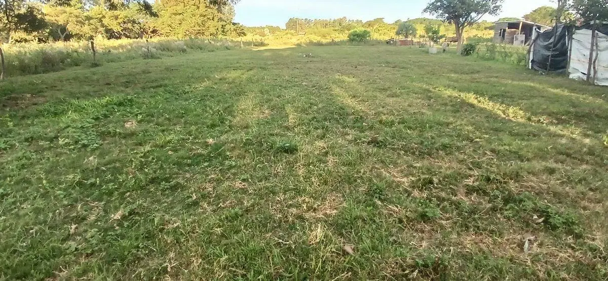 TERRENO EN VENTA DE 1000 M2 EN CAROLINA CTES 2