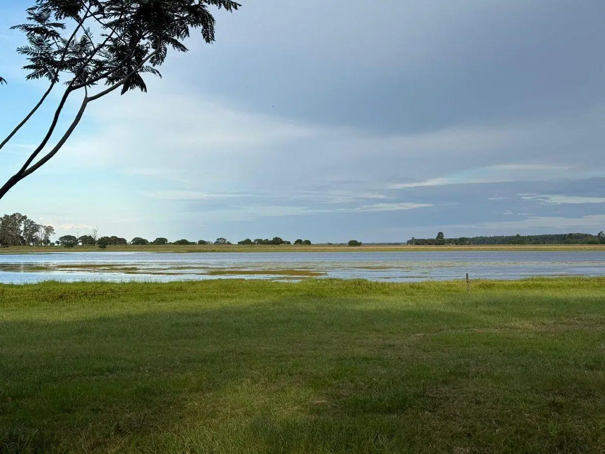 Lote en venta 8.700 m2 ubicado sobre Laguna Pucu 2
