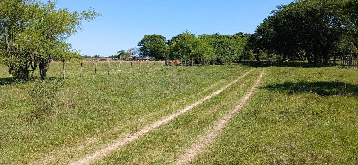 LOTE EN VENTA - COLONIA PORVENIR 2