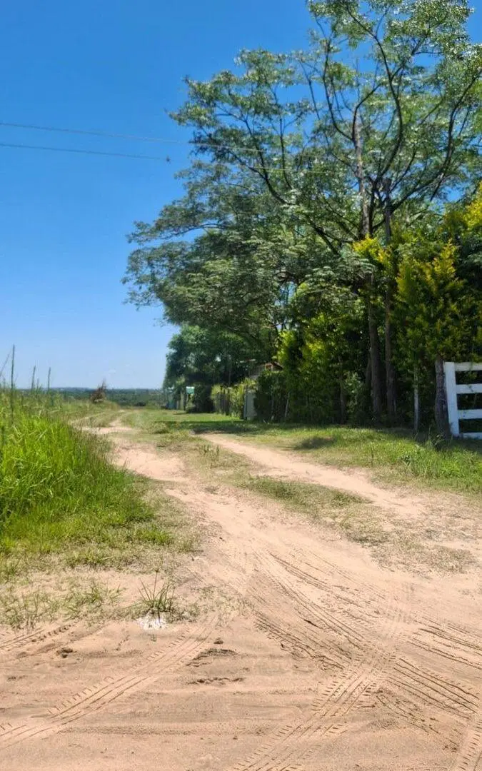 Terreno de 2000 m2 calle del Golf, en Carolina 2