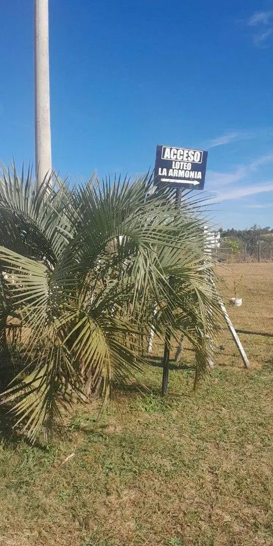 Lote en Venta, Loteo La Armonía, Colonia Carolina 5