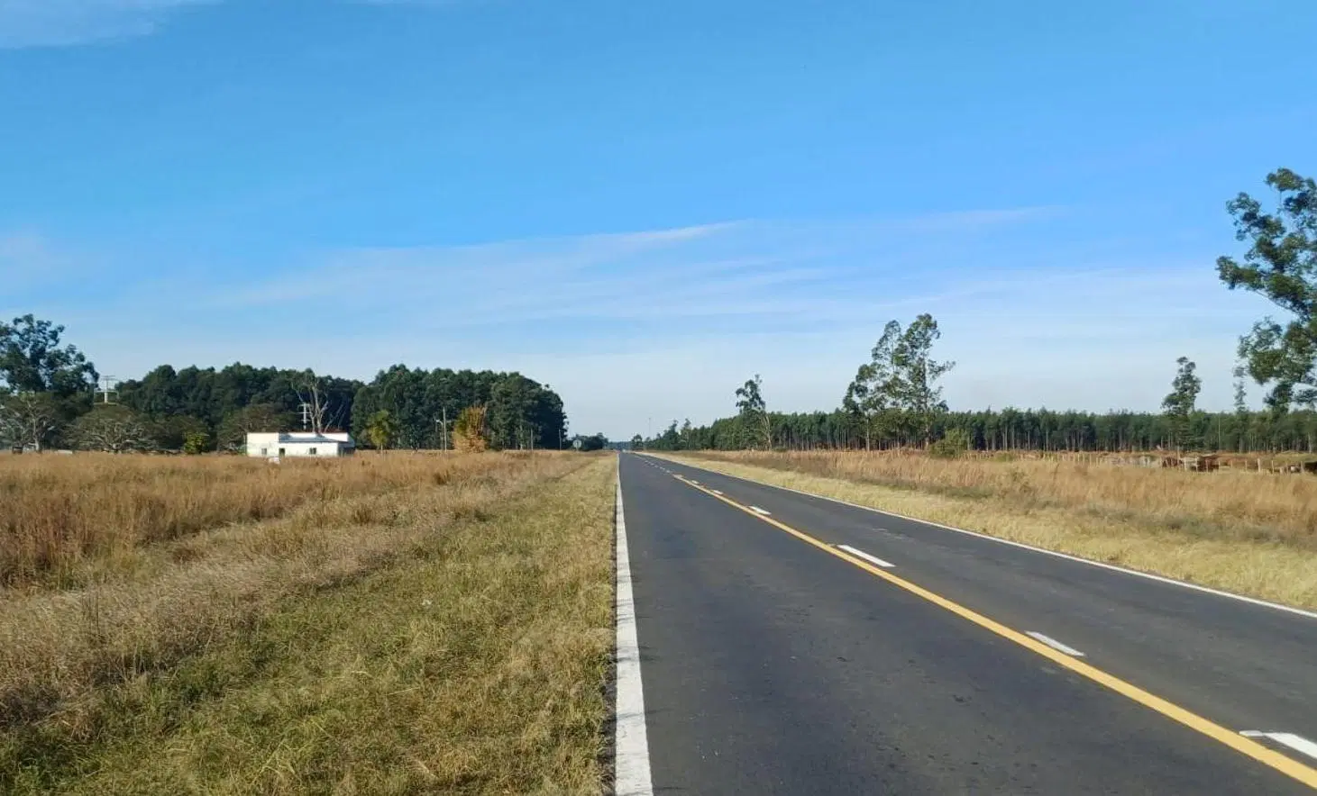 Terreno 4.5ha en Pje Batel, Sobre Ruta Nac. 12 5