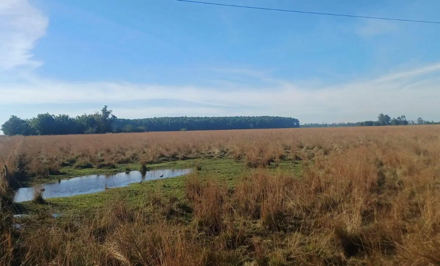 Terreno 4.5ha en Pje Batel, Sobre Ruta Nac. 12 3