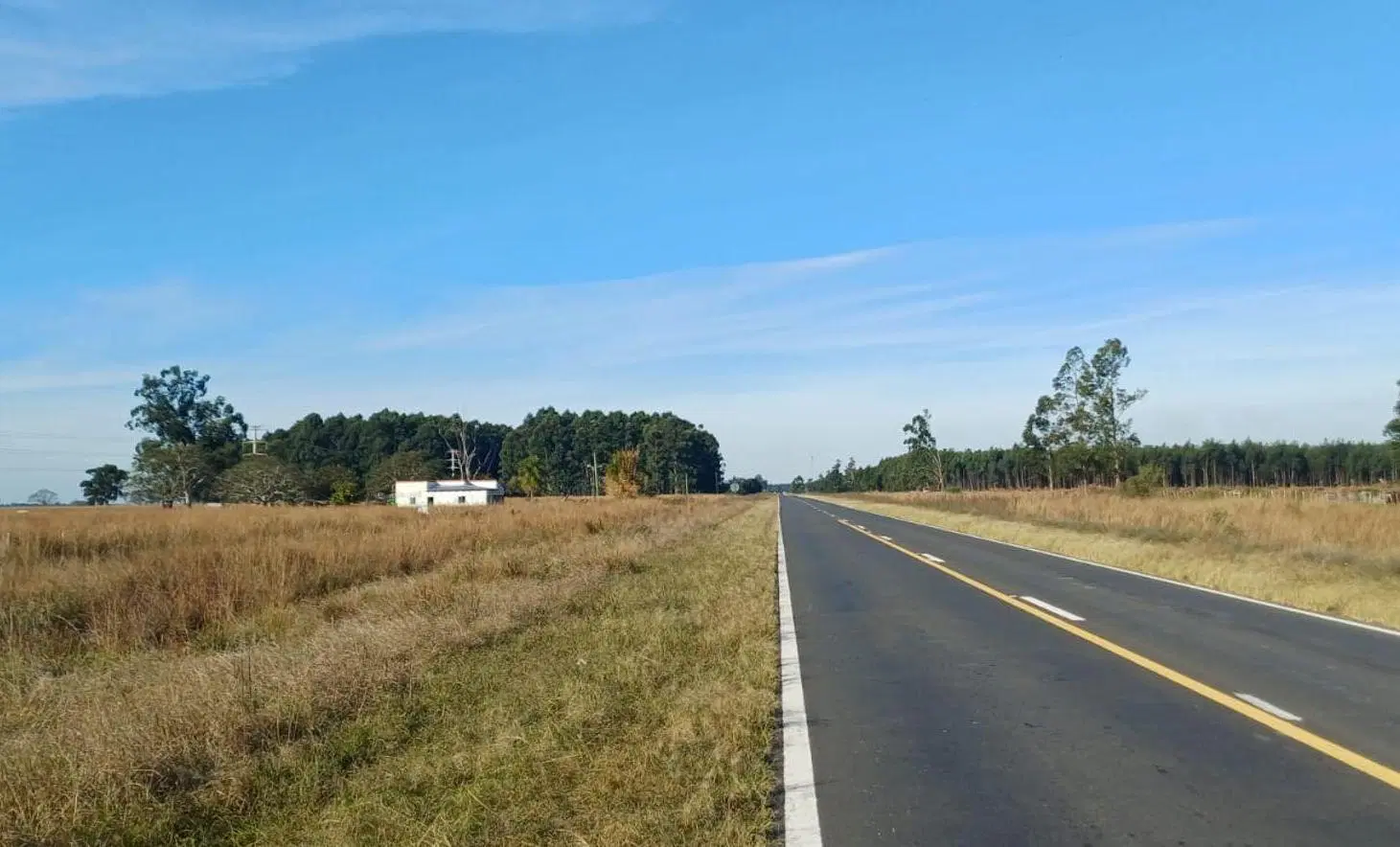 Terreno 4.5ha en Pje Batel, Sobre Ruta Nac. 12 2
